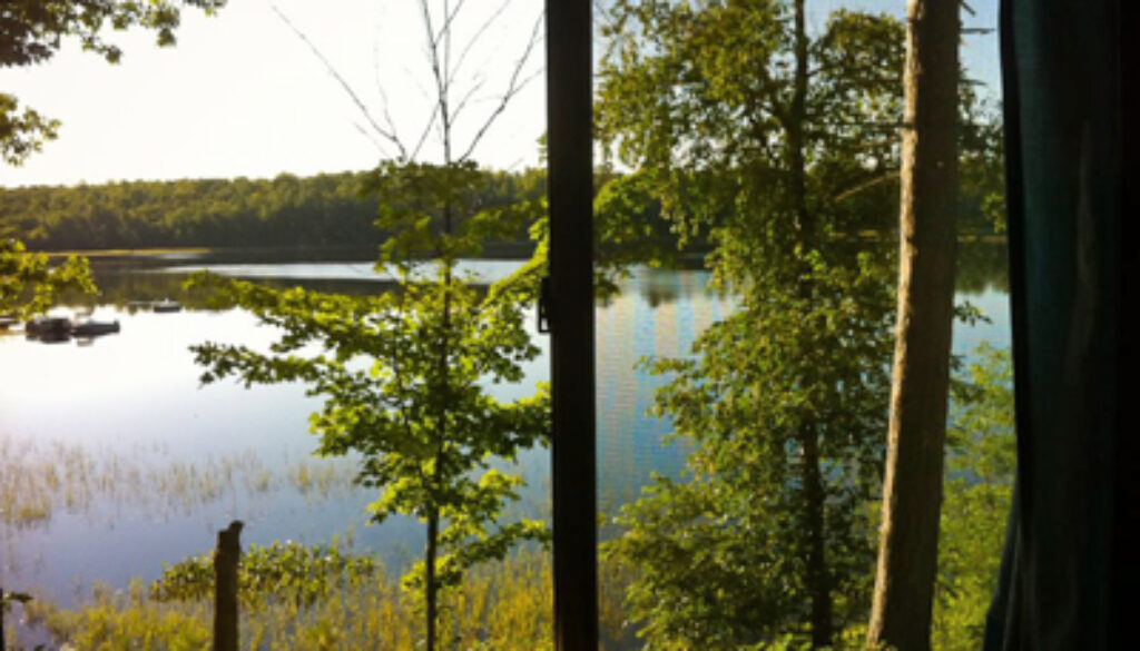 x Cabin view_0